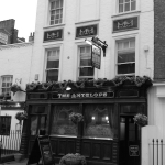 Antelope Pub photo small